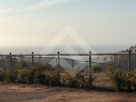  Land for sale in San Antonio, Valparaiso, Algarrobo, San Antonio