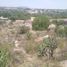  Land for rent in Tula De Allende Hidalgo, Tula De Allende
