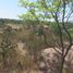  Land for rent in Tula De Allende Hidalgo, Tula De Allende