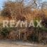  Land for sale in Amacuzac, Morelos, Amacuzac