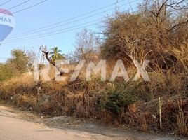  Land for sale in Amacuzac, Morelos, Amacuzac