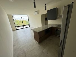 2 Bedroom Condo for rent in Monterrey, Nuevo Leon, Monterrey, Nuevo Leon