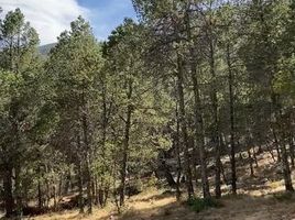  Grundstück zu verkaufen in Arteaga, Coahuila, Arteaga