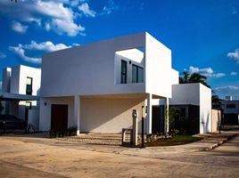 3 Schlafzimmer Haus zu verkaufen in Conkal, Yucatan, Conkal, Yucatan