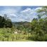  Grundstück zu verkaufen in Guarne, Antioquia, Guarne, Antioquia, Kolumbien