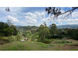  Grundstück zu verkaufen in Guarne, Antioquia, Guarne, Antioquia, Kolumbien