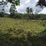 Studio Villa for sale in Cocle, Tulu, Penonome, Cocle