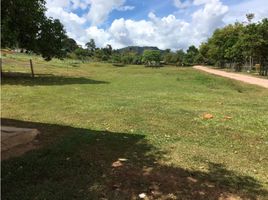 Studio Villa for sale in Cocle, Tulu, Penonome, Cocle