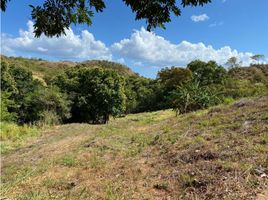  Land for sale in El Palmar Beach, San Carlos, Las Uvas