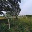 Studio House for sale in Tamiahua, Veracruz, Tamiahua
