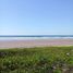  Land for sale in Tecuala, Nayarit, Tecuala