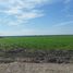  Land for sale in Culiacan, Sinaloa, Culiacan