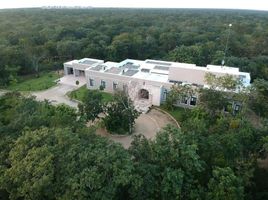 4 Habitación Departamento en venta en Conkal, Yucatán, Conkal