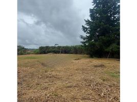  Land for sale in Popayan, Cauca, Popayan