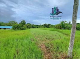  Terrain for sale in Panamá, Santa Cruz, San Felix, Chiriqui, Panamá