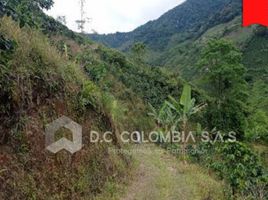 Studio House for sale in Colombia, Apia, Risaralda, Colombia