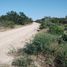  Land for sale in Padilla, Tamaulipas, Padilla