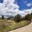  Land for sale in La Ceja, Antioquia, La Ceja