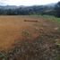  Terreno (Parcela) en venta en Guarne, Antioquia, Guarne