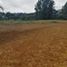  Terreno (Parcela) en venta en Guarne, Antioquia, Guarne