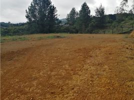  Terreno (Parcela) en venta en Guarne, Antioquia, Guarne