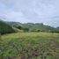  Land for sale in Pereira, Risaralda, Pereira