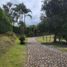  Land for sale in Pereira, Risaralda, Pereira