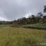  Land for sale in Concepcion, Antioquia, Concepcion