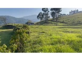  Land for sale in Manizales, Caldas, Manizales