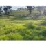  Land for sale in Manizales, Caldas, Manizales