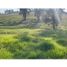  Land for sale in Manizales, Caldas, Manizales