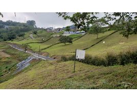  Terreno (Parcela) en venta en Dosquebradas, Risaralda, Dosquebradas