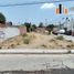  Grundstück zu verkaufen in Allende, Guanajuato, Allende, Guanajuato