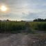  Land for sale in Guadalajara, Jalisco, Guadalajara