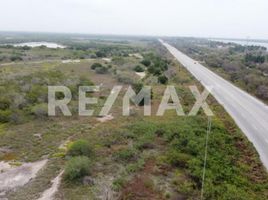  Grundstück zu verkaufen in Panuco, Veracruz, Panuco