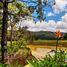 Studio Villa zu verkaufen in Coatepec Harinas, Mexico, Coatepec Harinas