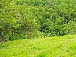  Land for sale in Pereira, Risaralda, Pereira