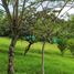  Land for sale in Pereira, Risaralda, Pereira