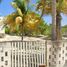  Terreno (Parcela) en venta en Telchac Puerto, Yucatán, Telchac Puerto