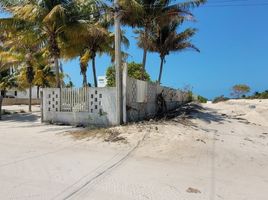  Terreno (Parcela) en venta en Telchac Puerto, Yucatán, Telchac Puerto