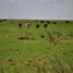  Land for sale in Rio Seco, Cordoba, Rio Seco