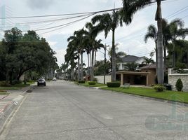  Terreno (Parcela) en venta en Samborondón, Guayas, Samborondon, Samborondón