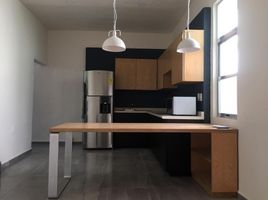 1 Habitación Apartamento en alquiler en Carmen, Campeche, Carmen
