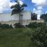  Land for sale in Merida, Yucatan, Merida, Yucatan