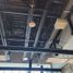 147.34 m2 Office for rent in Nuevo Leon, Monterrey, Nuevo Leon