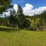  Grundstück zu verkaufen in La Ceja, Antioquia, La Ceja, Antioquia