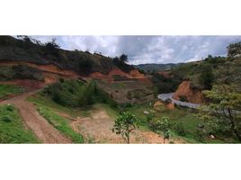  Land for sale in San Vicente, Antioquia, San Vicente