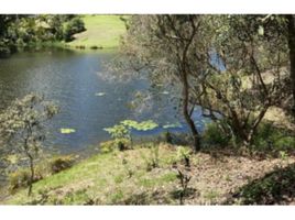  Terreno (Parcela) en venta en El Carmen De Viboral, Antioquia, El Carmen De Viboral