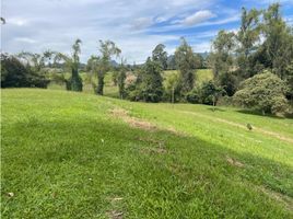  Land for sale in Rionegro, Antioquia, Rionegro