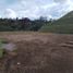 Terrain à vendre à Guarne, Antioquia, Guarne, Antioquia, Colombie